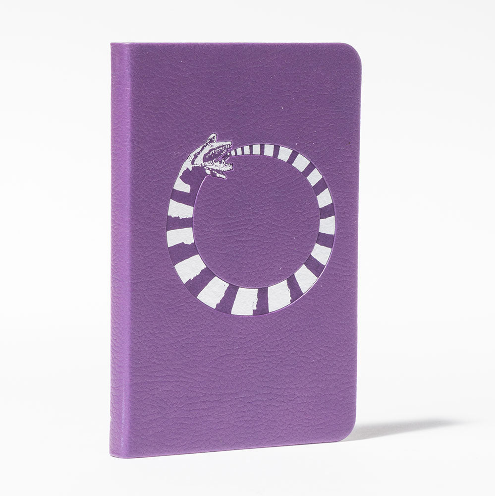 Beetlejuice: Handbook for the Recently Deceased