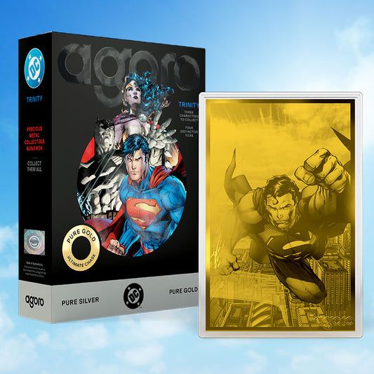 DC Trinity Blind Box