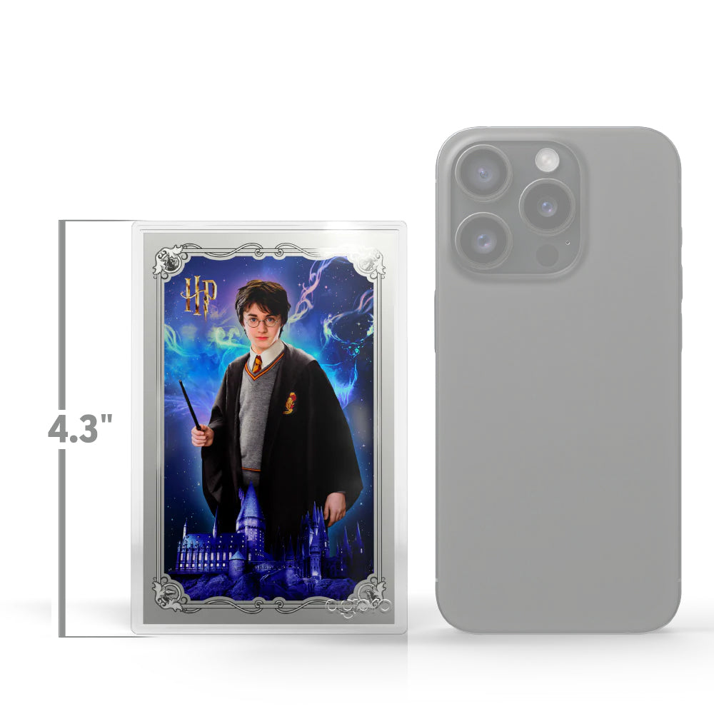 HARRY POTTER™ - 25 Years of Magic Blind Box