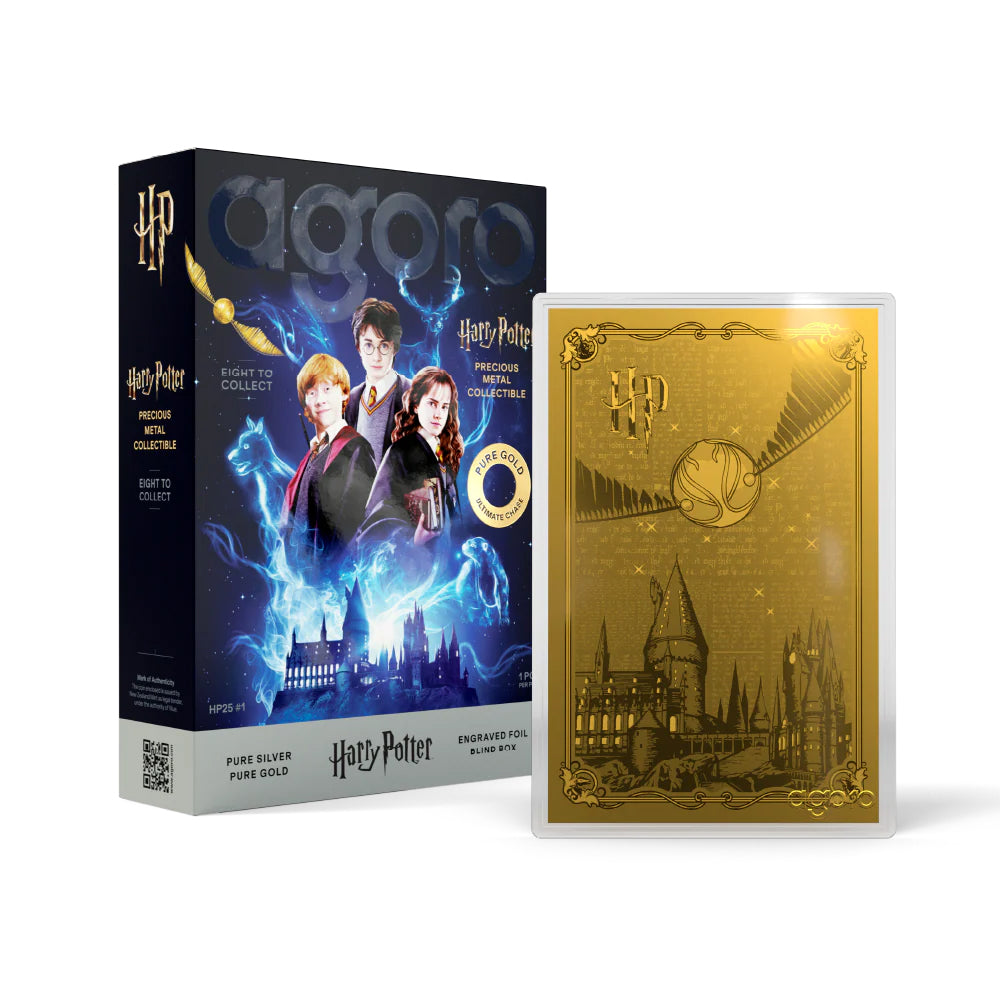 HARRY POTTER™ - 25 Years of Magic Blind Box