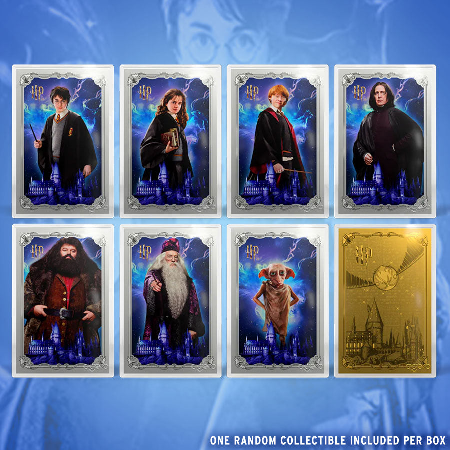 HARRY POTTER™ - 25 Years of Magic Blind Box