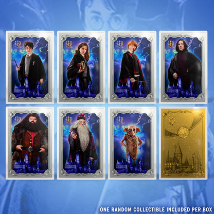 HARRY POTTER™ - 25 Years of Magic Blind Box