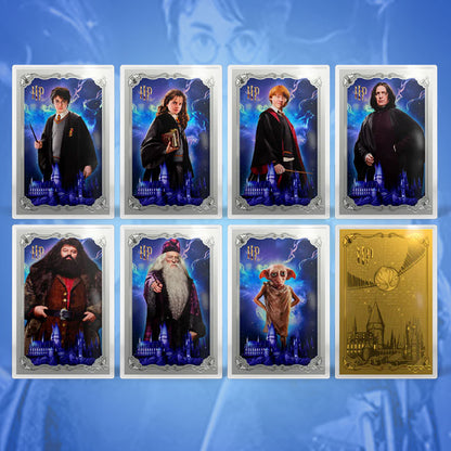 HARRY POTTER™ - 25 Years of Magic Blind Box