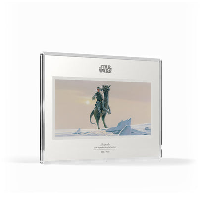 Luke Skywalker™ riding his Tauntaun™