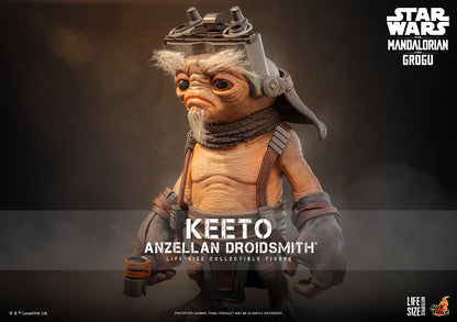 Keeto (Anzellan Droidsmith™)