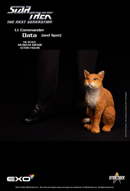 Lt. Commander Data (Standard Version)