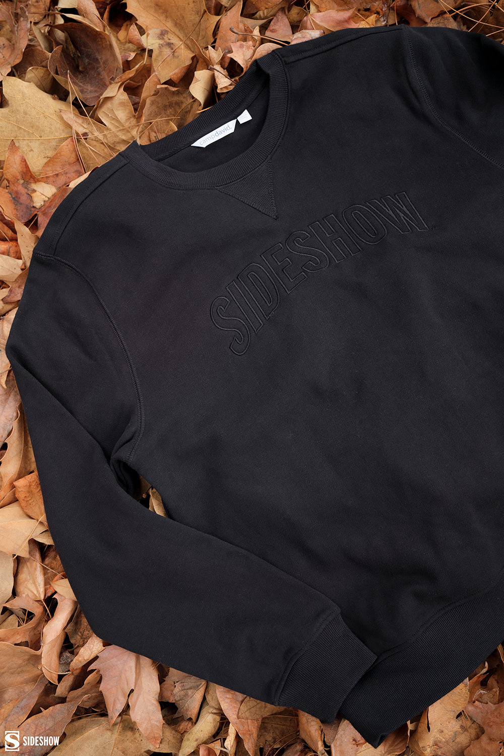 Sideshow Embroidered Sweatshirt