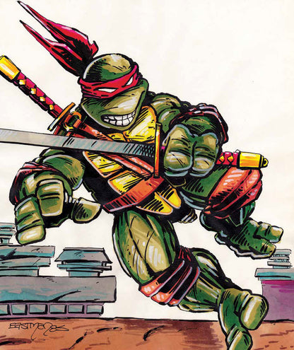 Teenage Mutant Ninja Turtles: The Ultimate Visual History